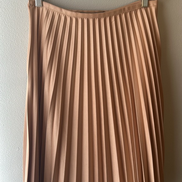 Zara EUC Woman Blush Accordion Pleated Midi A-Line Skirt - Picture 2 of 5